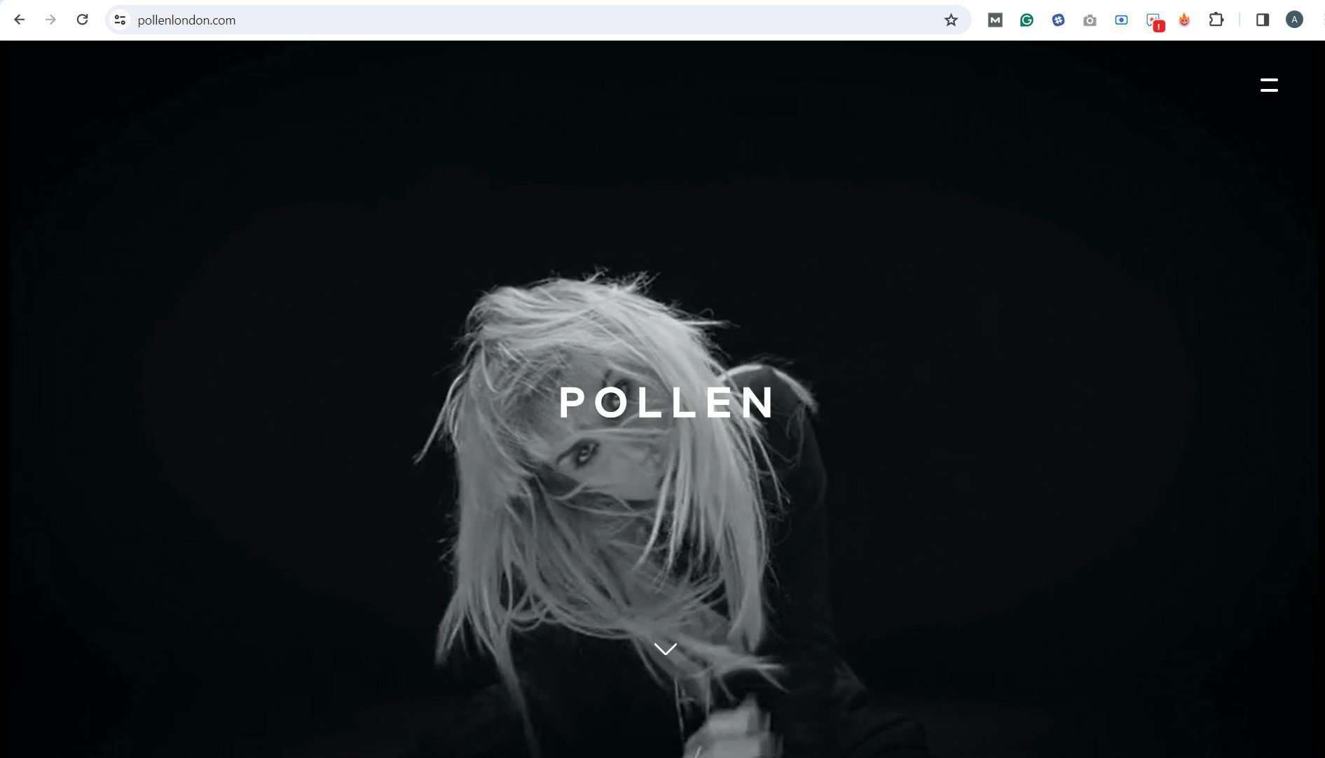 Pollen London web design - video taking up entire area above the fold